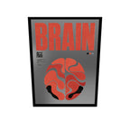 Brain
