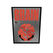 Brain