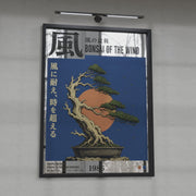 Bonsai of the Wind